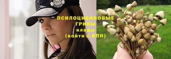 сатива Балабаново
