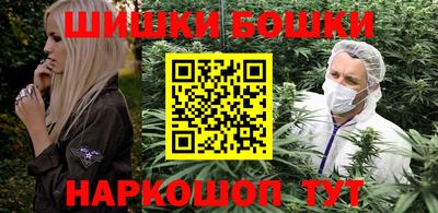 крисы Новозыбков