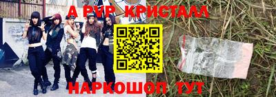 крисы Новозыбков