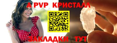 крисы Новозыбков