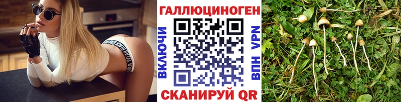 Галлюциногенные грибы Magic Shrooms  ОМГ ОМГ tor  Георгиевск 